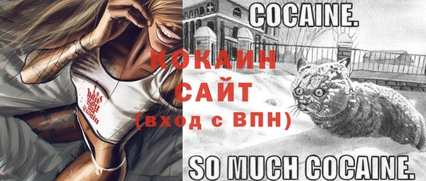 дживик Алзамай